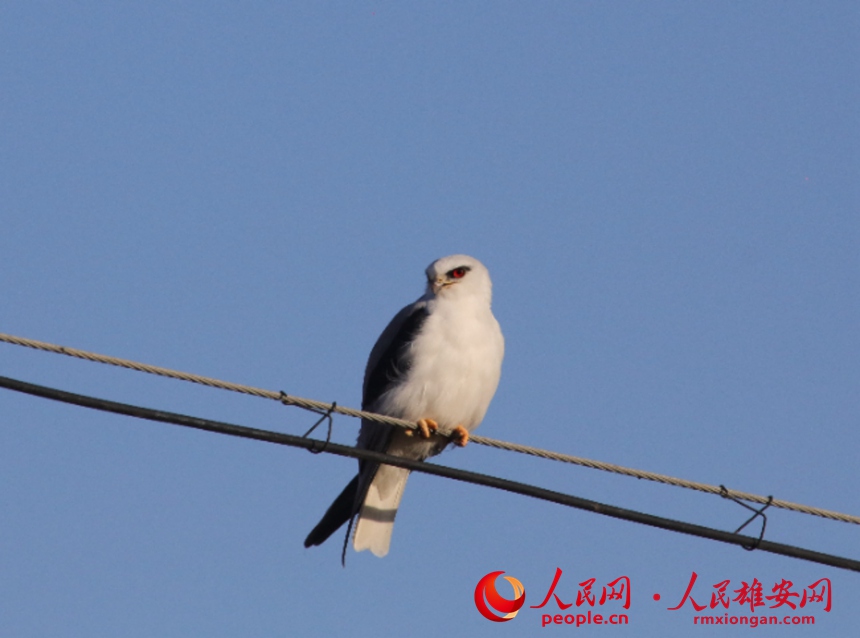 a327700dbcfbef789226bdcfd9b6d983_LOCAL202111182117000137328186988.jpg a327700dbcfbef789226bdcfd9b6d983_LOCAL202111182117000137328186988.jpg