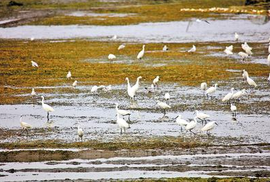 b23e991f17e16a6b5d1c1f0138bfcc68_1211625380_16485157405471n.png b23e991f17e16a6b5d1c1f0138bfcc68_1211625380_16485157405471n.png