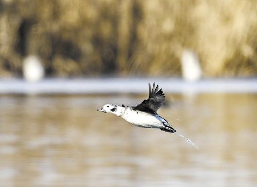 d7e2c5b3e0cb99c54ad469c330efbb0e_640_wx_fmt=png&from=appmsg&wxfrom=5&wx_lazy=1&wx_co=1.png d7e2c5b3e0cb99c54ad469c330efbb0e_640_wx_fmt=png&from=appmsg&wxfrom=5&wx_lazy=1&wx_co=1.png